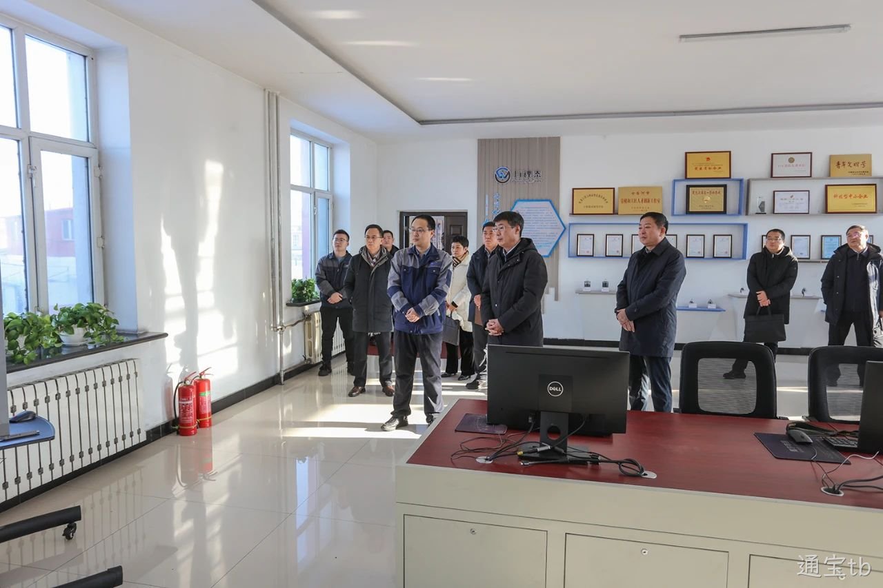 七台河市市委副书记、市长张涛莅临替换词调研(图1)